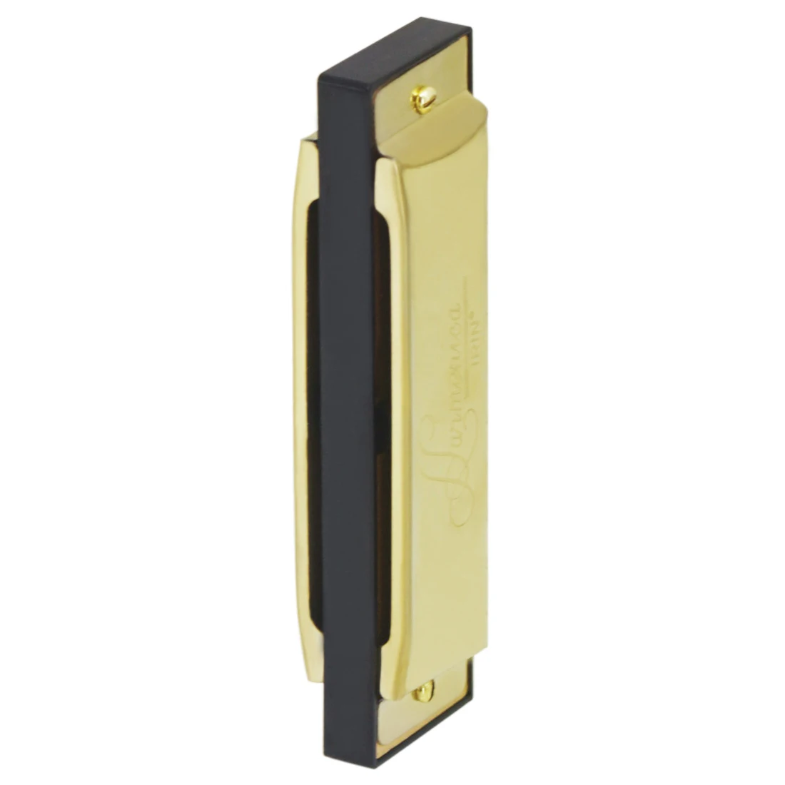 IRIN Harmonica 10 Hole 20 Tone - Harmonica 10 Hole incelemesi ve fiyatı