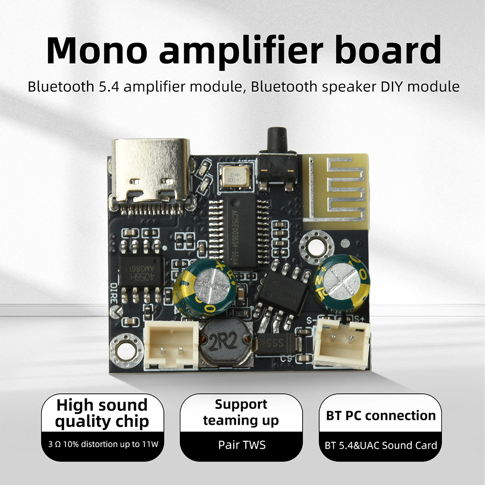 BPM13 Plus 6.2W Mono Class D A - Audio Music Mp3 Free incelemesi ve fiyatı