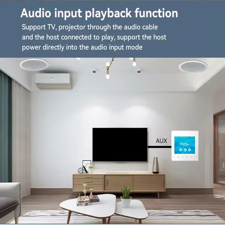 Home Bluetooth Wall Amplifier  - Audio Music System For Home incelemesi ve fiyatı