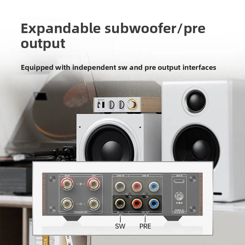 FiiO Horizon Level 1 High Powe - Audio Music System For Home incelemesi ve fiyatı