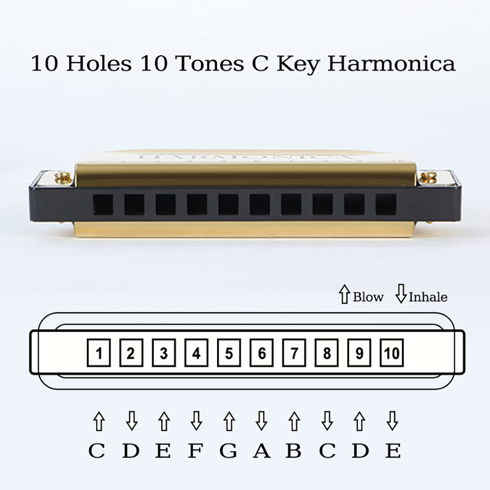 10 Hole C Harmonica Blues Harp - Harmonica 10 Hole incelemesi ve fiyatı