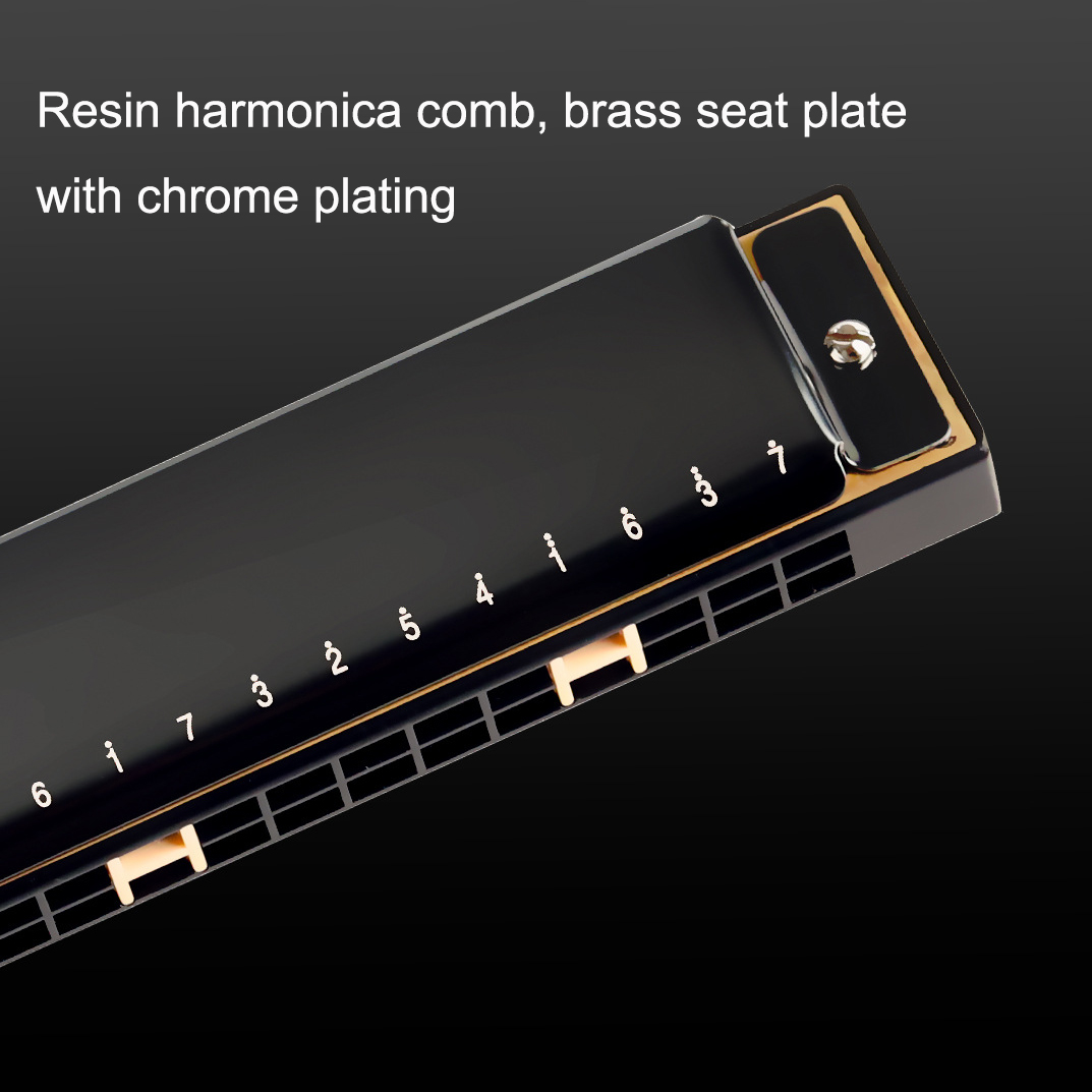 Guoguang Tremolo Harmonica 24  - Harmonica 10 Hole incelemesi ve fiyatı
