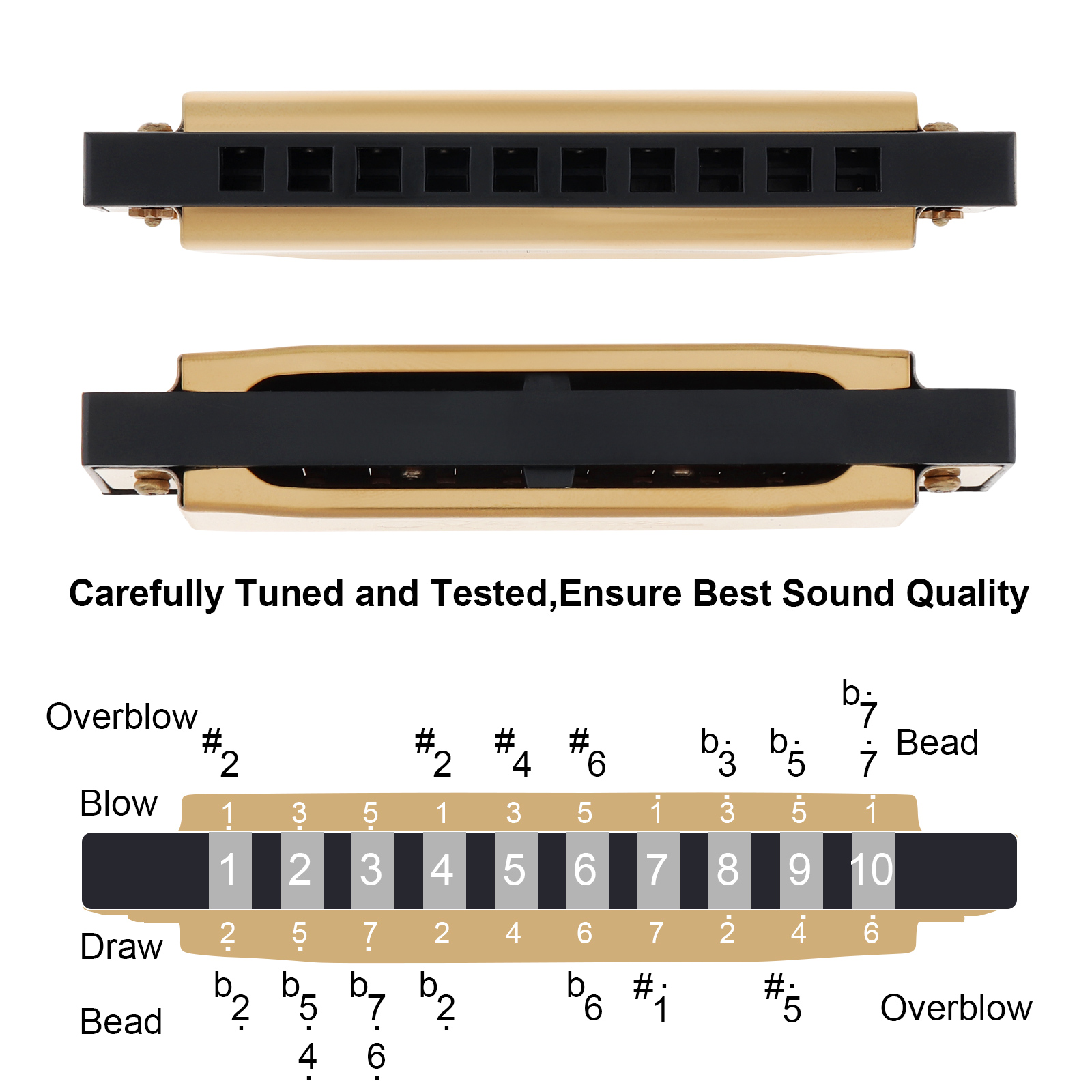 Silver / Gold KeyC 10 Hole 20  - Harmonica 10 Hole incelemesi ve fiyatı