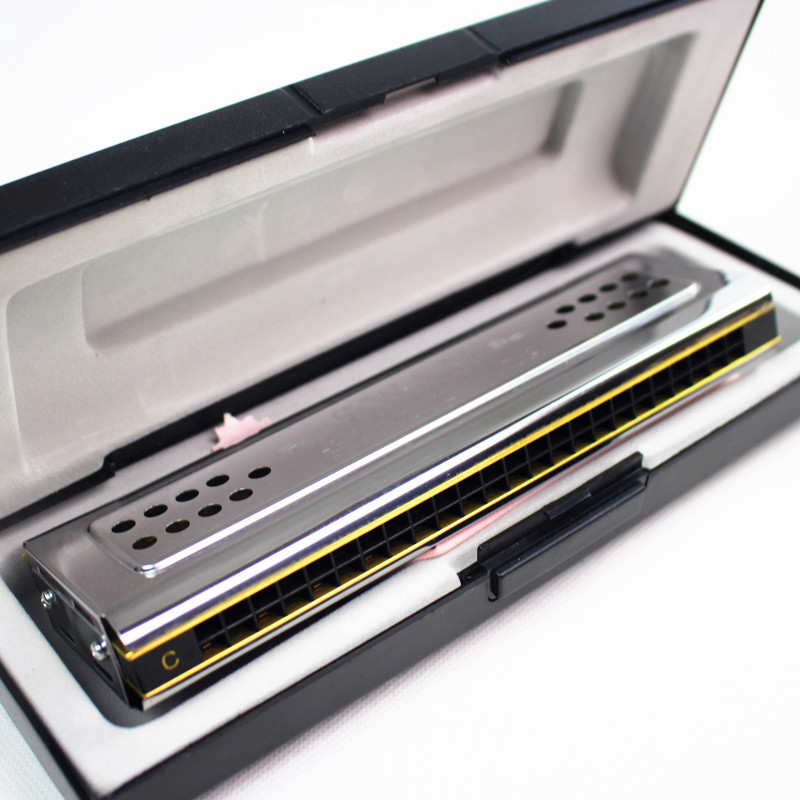 Both Sides Swan Harmonica Trem - Harmonica 10 Hole incelemesi ve fiyatı